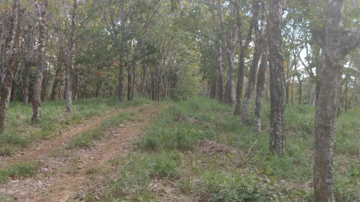 Foto 8 de Terreno / Lote à venda, 10000m2 em Marau - BA