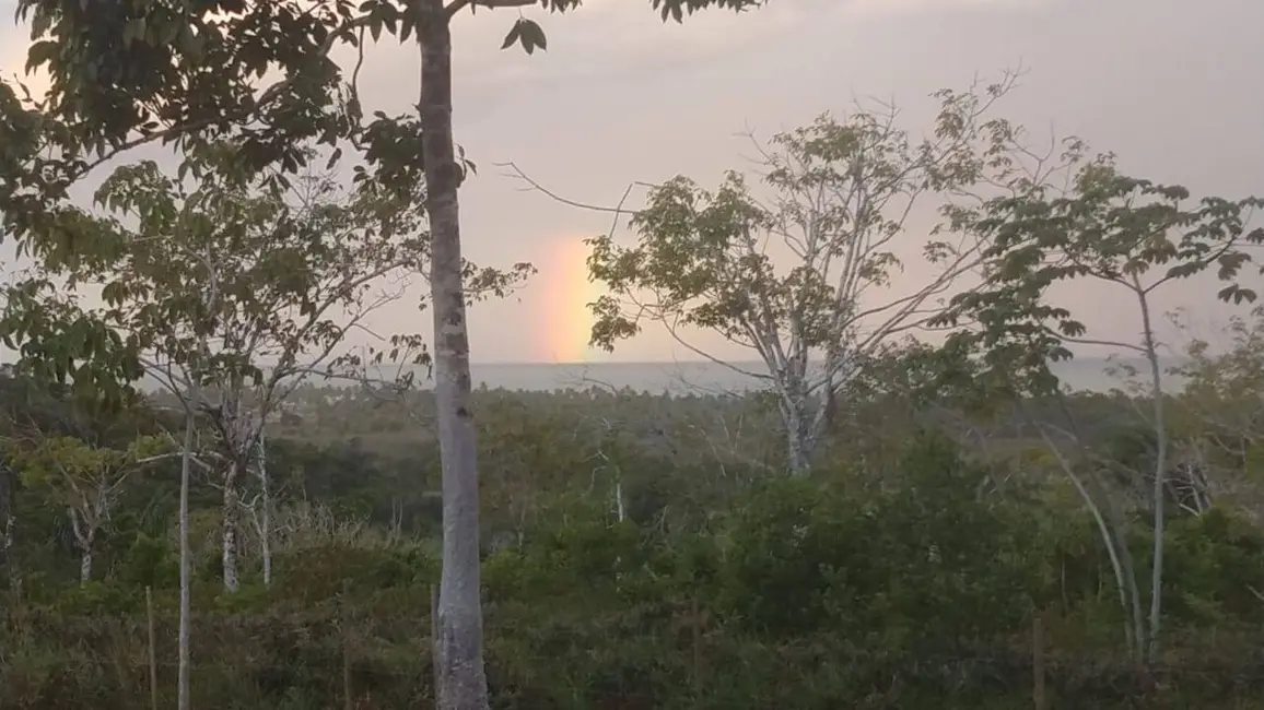 Foto 7 de Terreno / Lote à venda, 10000m2 em Marau - BA