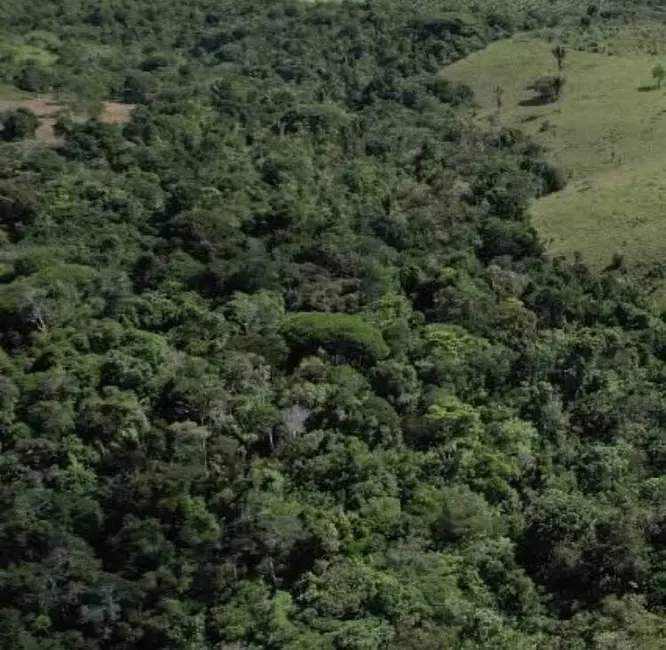 Foto 6 de Sítio / Rancho à venda em Urucuca - BA