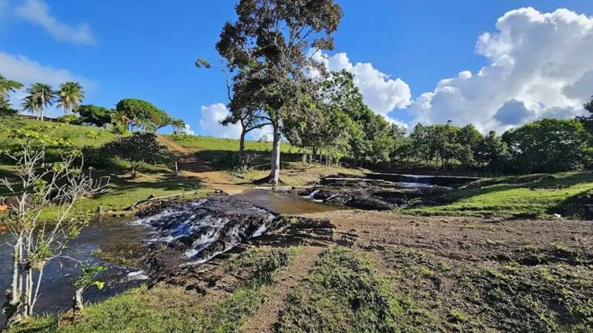 Foto 13 de Sítio / Rancho à venda em Urucuca - BA