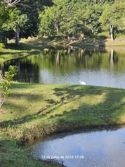 Foto 15 de Sítio / Rancho à venda em Urucuca - BA