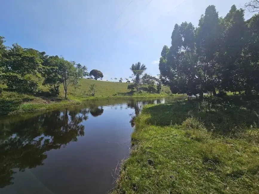 Foto 3 de Sítio / Rancho à venda em Urucuca - BA