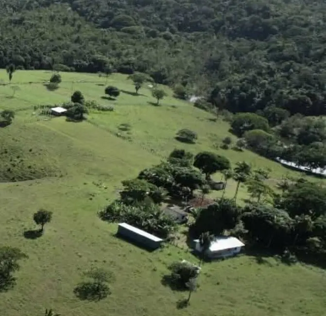 Foto 11 de Sítio / Rancho à venda em Urucuca - BA