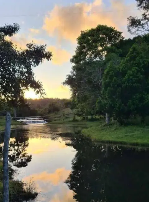Foto 2 de Sítio / Rancho à venda em Urucuca - BA