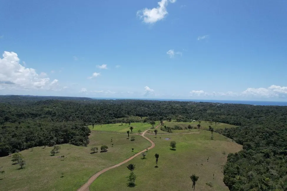 Foto 9 de Sítio / Rancho à venda em Urucuca - BA