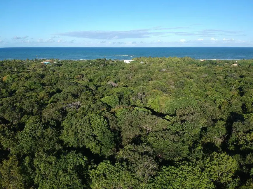 Foto 1 de Terreno / Lote à venda, 15700m2 em Marau - BA