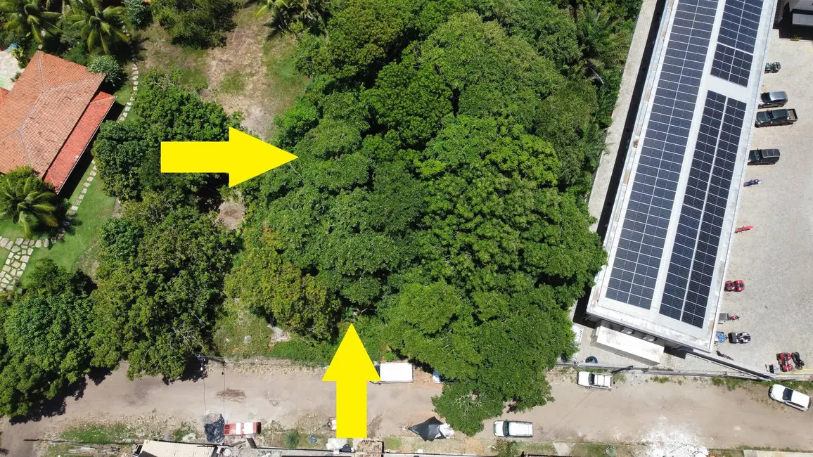 Foto 2 de Terreno / Lote à venda, 11501160m2 em Marau - BA