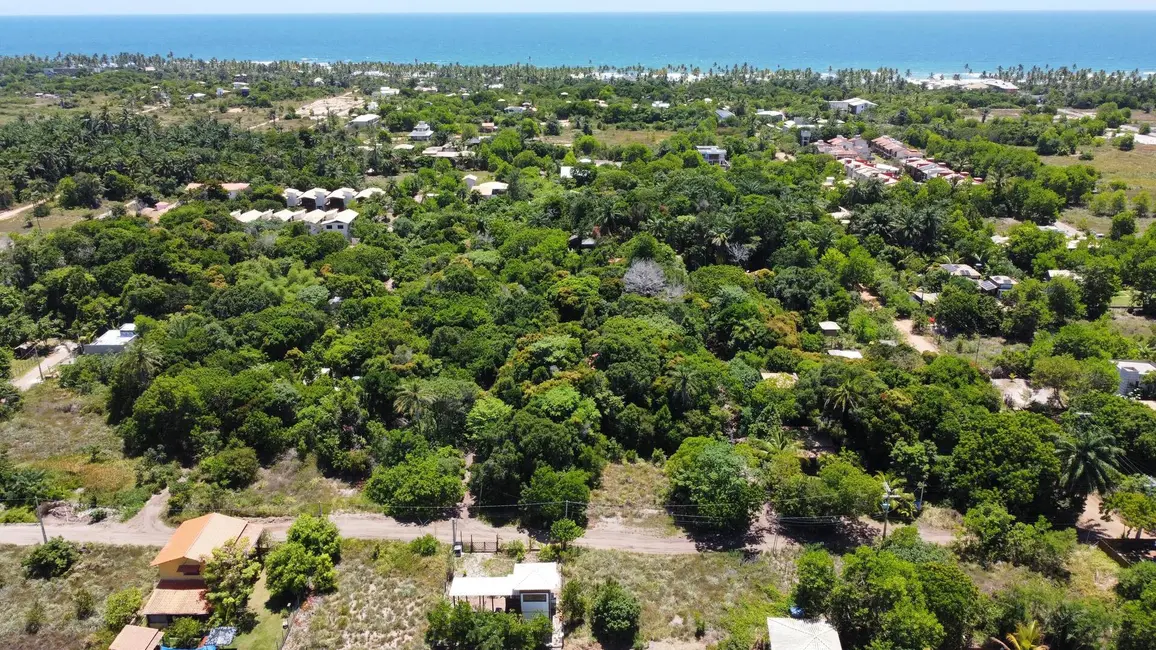 Foto 2 de Terreno / Lote à venda, 300m2 em Marau - BA