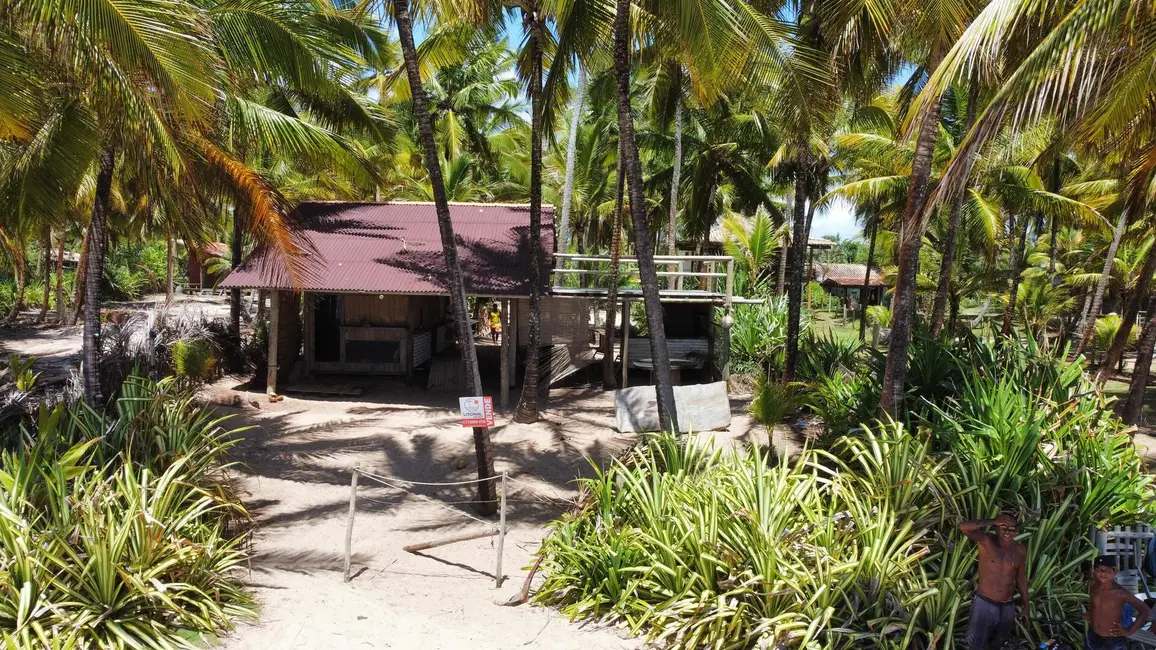 Foto 5 de Terreno / Lote à venda, 1440m2 em Marau - BA