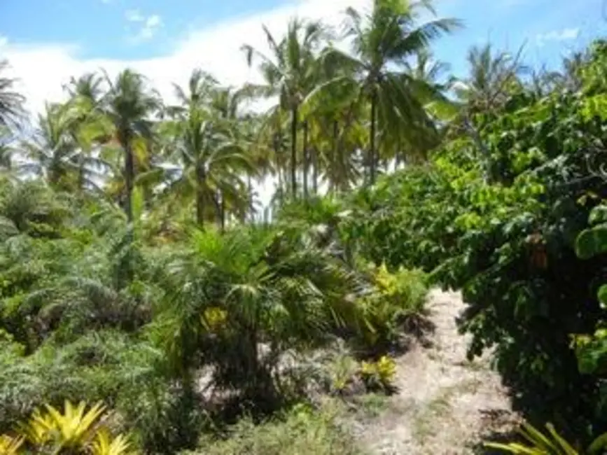 Foto 2 de Chácara à venda, 12m2 em Marau - BA
