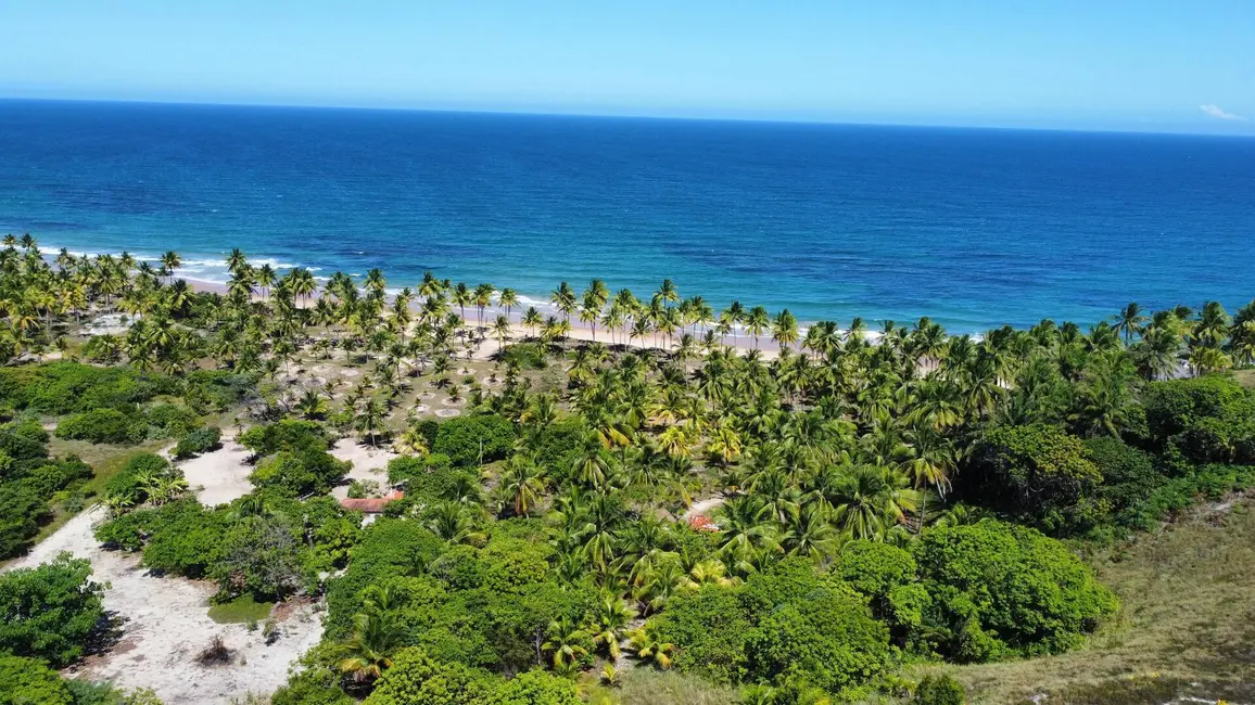 Foto 1 de Terreno / Lote à venda, 4800m2 em Marau - BA