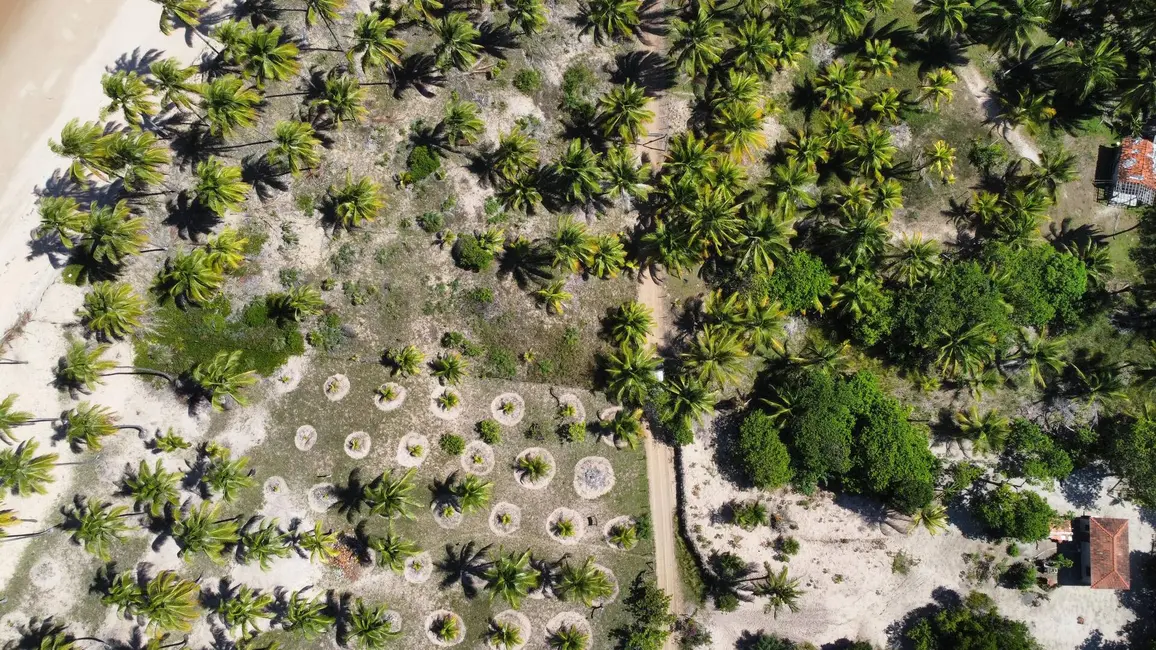 Foto 2 de Terreno / Lote à venda, 4800m2 em Marau - BA