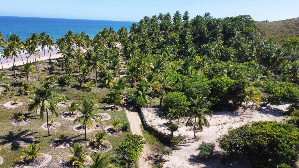 Foto 3 de Terreno / Lote à venda, 4800m2 em Marau - BA