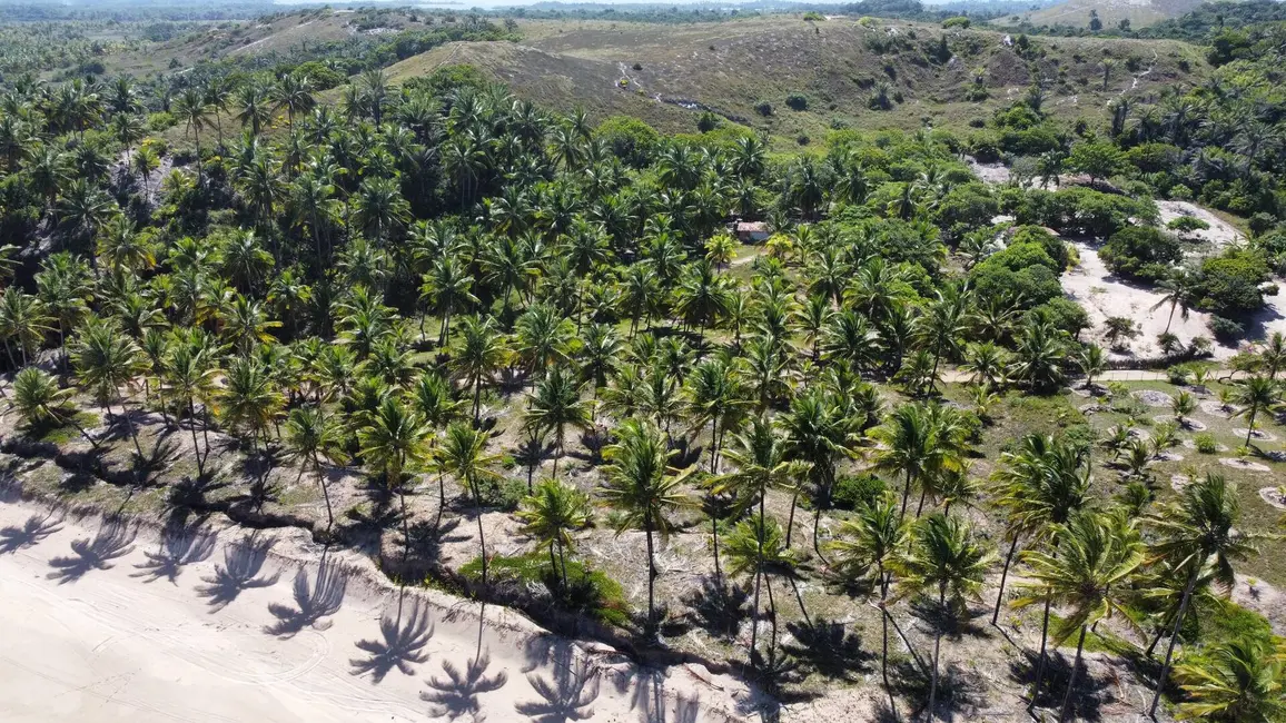 Foto 4 de Terreno / Lote à venda, 4800m2 em Marau - BA