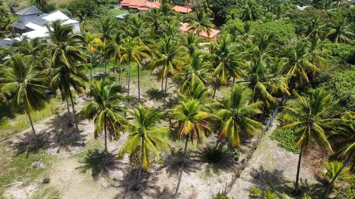Foto 6 de Terreno / Lote à venda, 4280m2 em Marau - BA