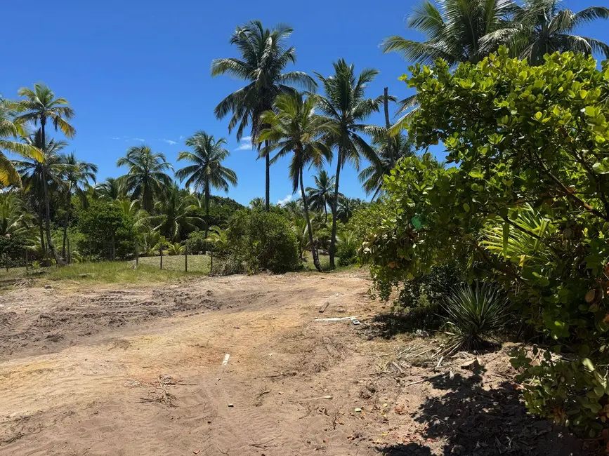 Foto 6 de Terreno / Lote à venda, 4280m2 em Marau - BA