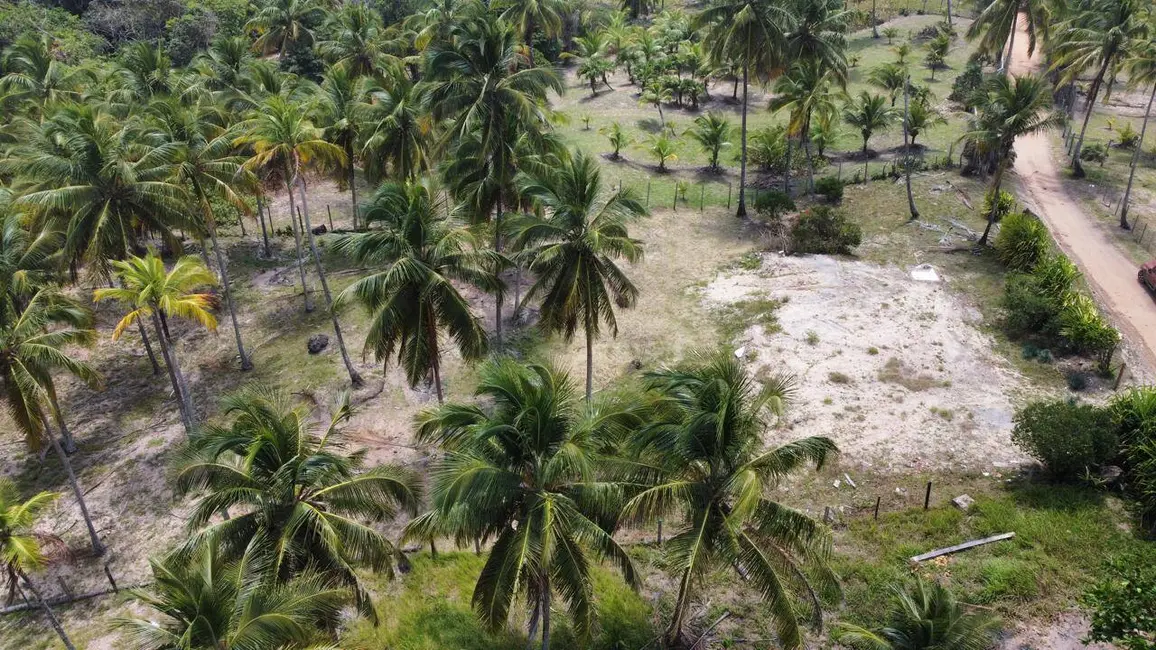 Foto 4 de Terreno / Lote à venda, 4280m2 em Marau - BA