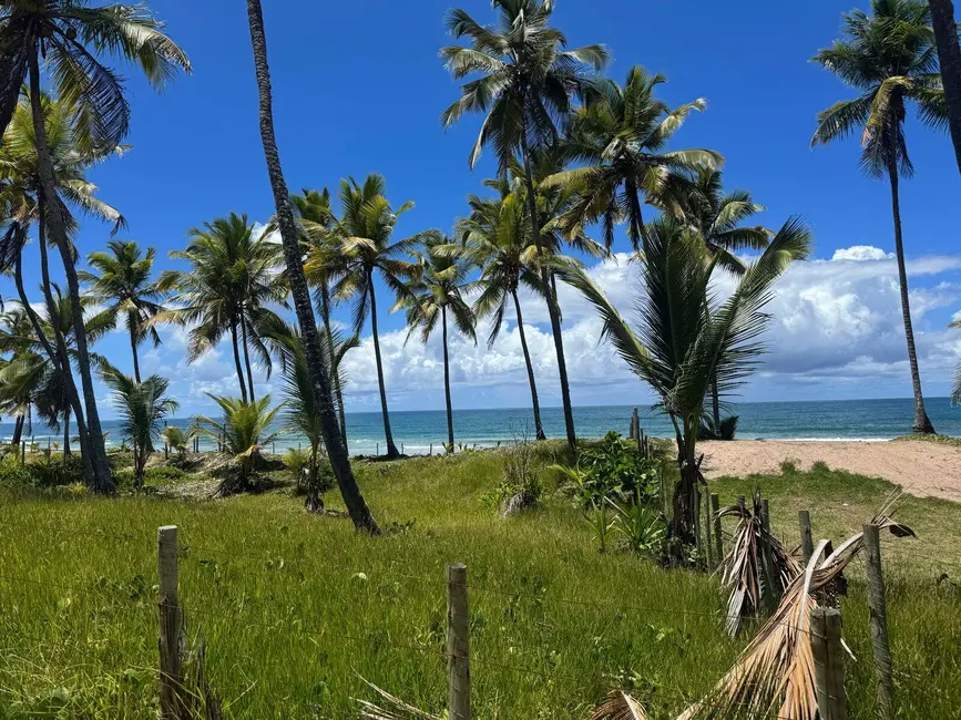 Foto 2 de Terreno / Lote à venda, 4280m2 em Marau - BA