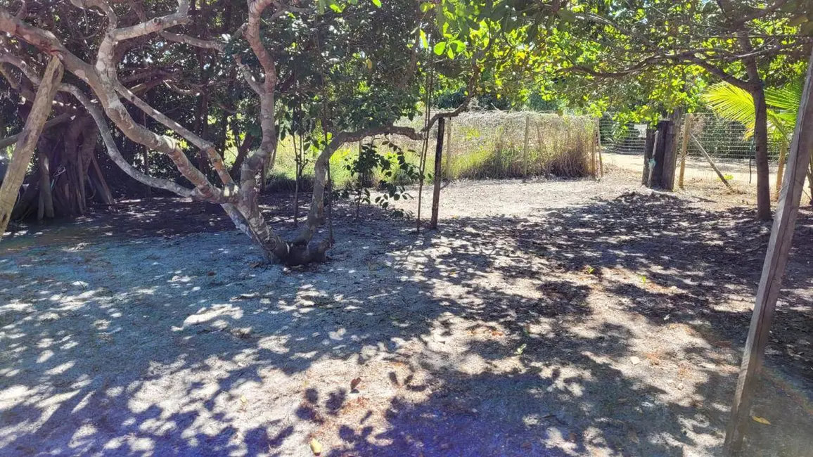 Foto 2 de Terreno / Lote à venda, 450m2 em Marau - BA