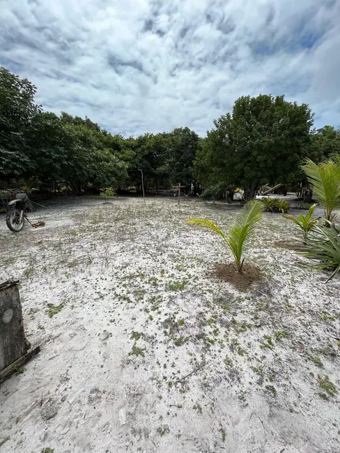 Foto 3 de Terreno / Lote à venda, 450m2 em Marau - BA