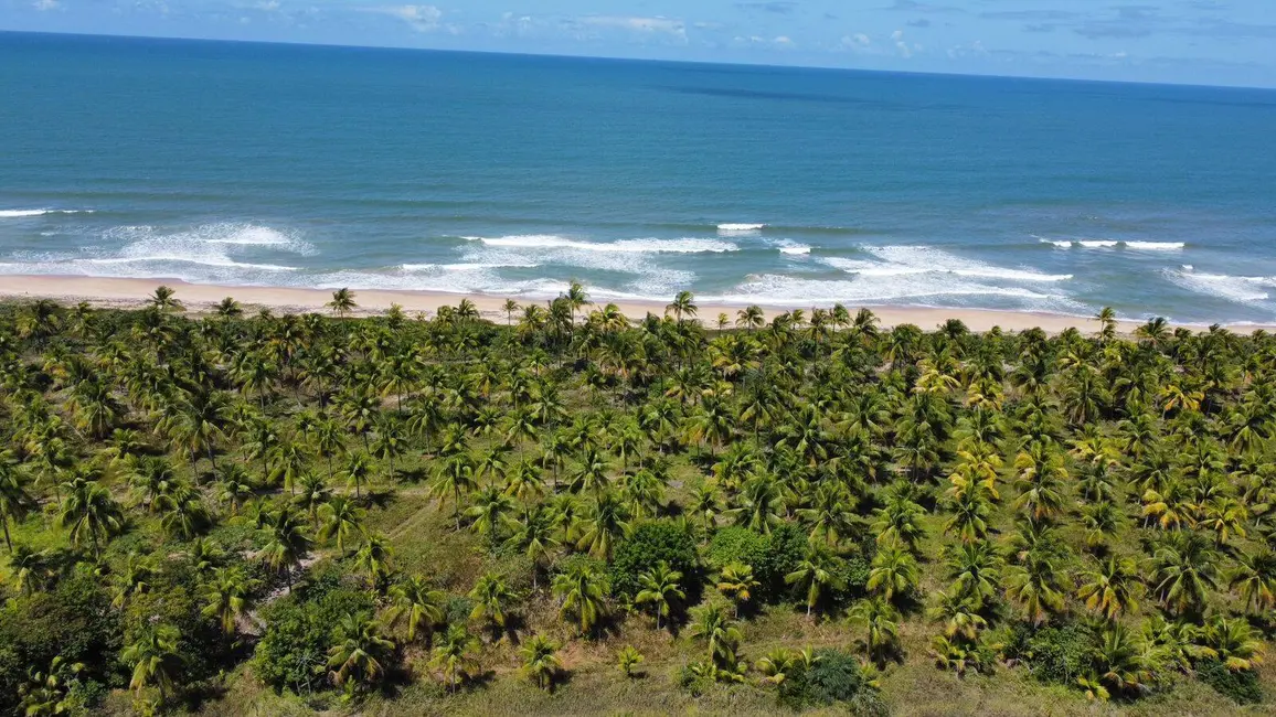 Foto 1 de Chácara à venda, 250002m2 em Marau - BA