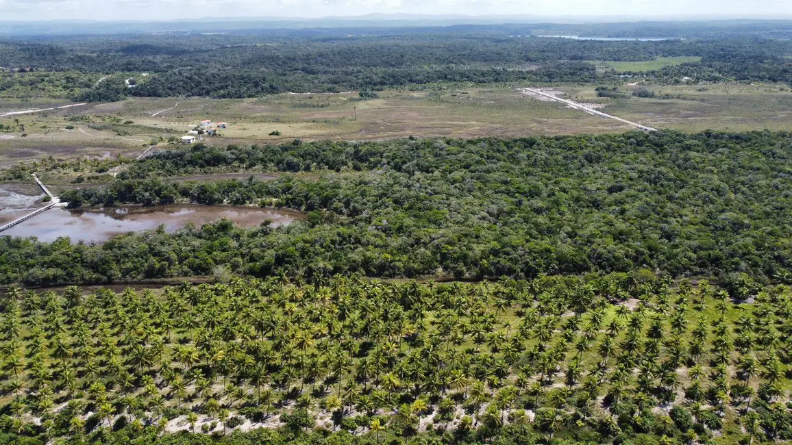 Foto 6 de Chácara à venda, 250002m2 em Marau - BA