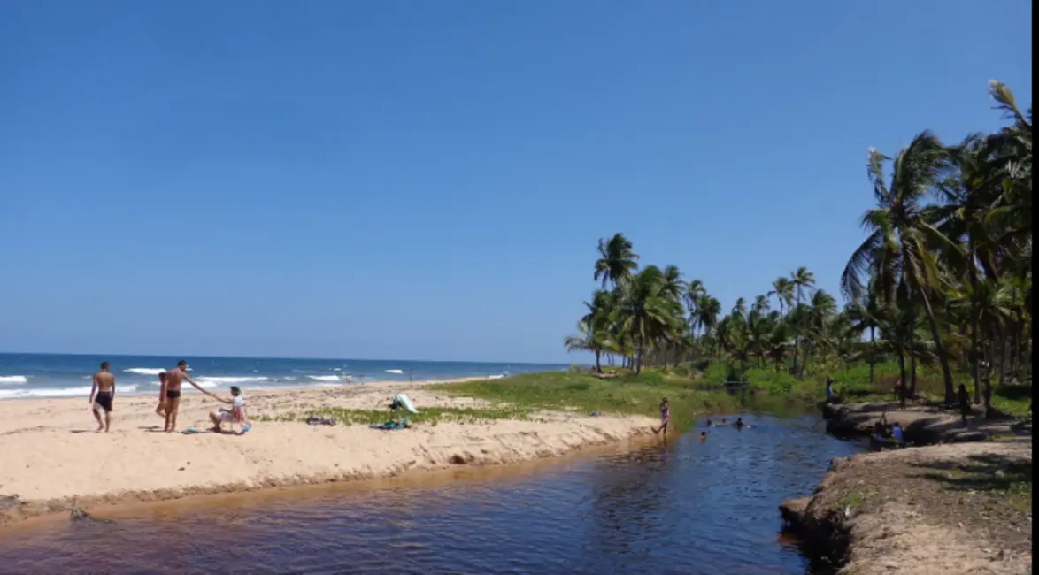 Terreno / Lote à venda, 2270m2 em Marau - BA - imagem 4 Foto 4 de Terreno / Lote à venda, 2270m2 em Marau - BA