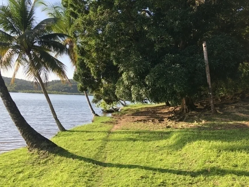 Foto 12 de Chácara à venda em Marau - BA