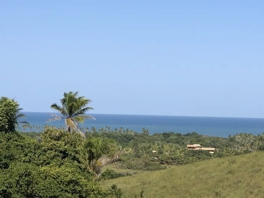 Chácara à venda em Marau - BA - imagem 5 Foto 5 de Chácara à venda em Marau - BA