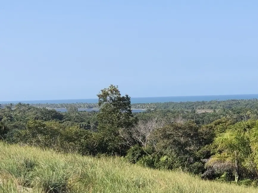 Chácara à venda em Marau - BA - imagem 9 Foto 9 de Chácara à venda em Marau - BA