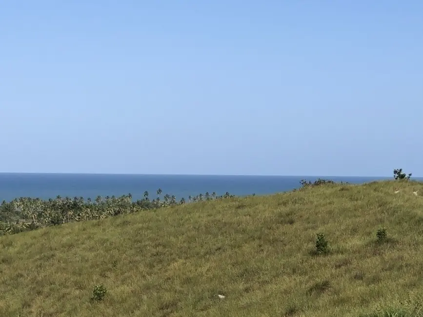 Chácara à venda em Marau - BA - imagem 4 Foto 4 de Chácara à venda em Marau - BA