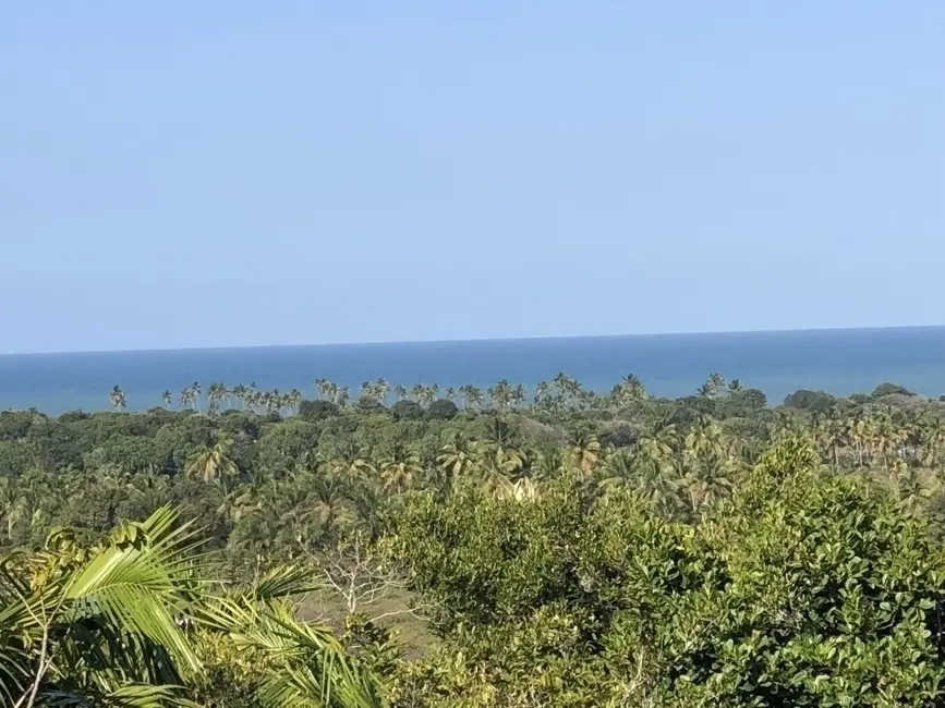 Chácara à venda em Marau - BA - imagem 2 Foto 2 de Chácara à venda em Marau - BA