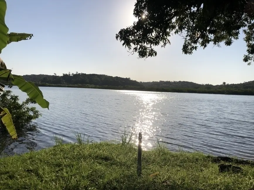 Chácara à venda em Marau - BA - imagem 7 Foto 7 de Chácara à venda em Marau - BA