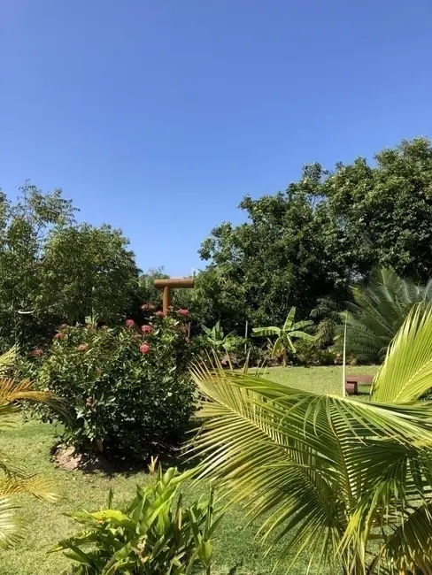 Foto 9 de Casa com 6 quartos à venda, 30000m2 em Marau - BA