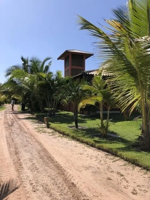 Foto 4 de Casa com 6 quartos à venda, 30000m2 em Marau - BA