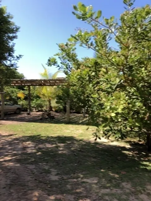 Foto 8 de Casa com 6 quartos à venda, 30000m2 em Marau - BA