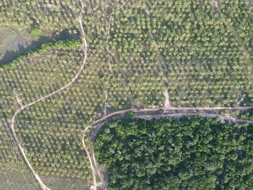 Foto 3 de Terreno / Lote à venda em Marau - BA