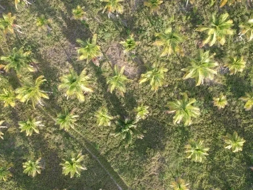 Foto 2 de Terreno / Lote à venda em Marau - BA