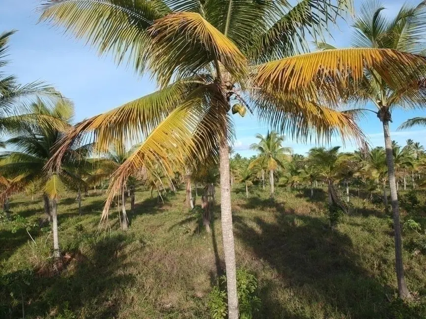 Foto 8 de Terreno / Lote à venda em Marau - BA