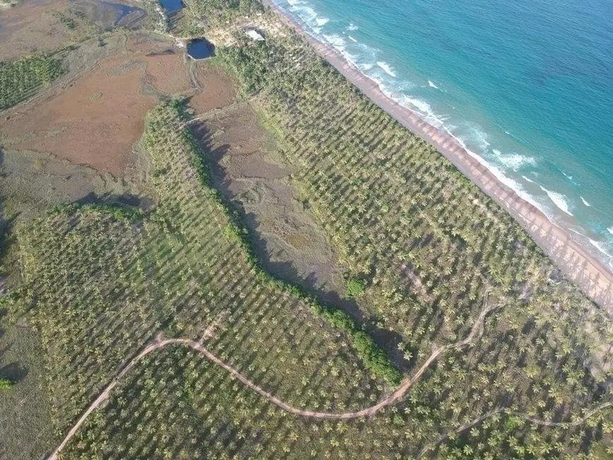 Foto 4 de Terreno / Lote à venda em Marau - BA