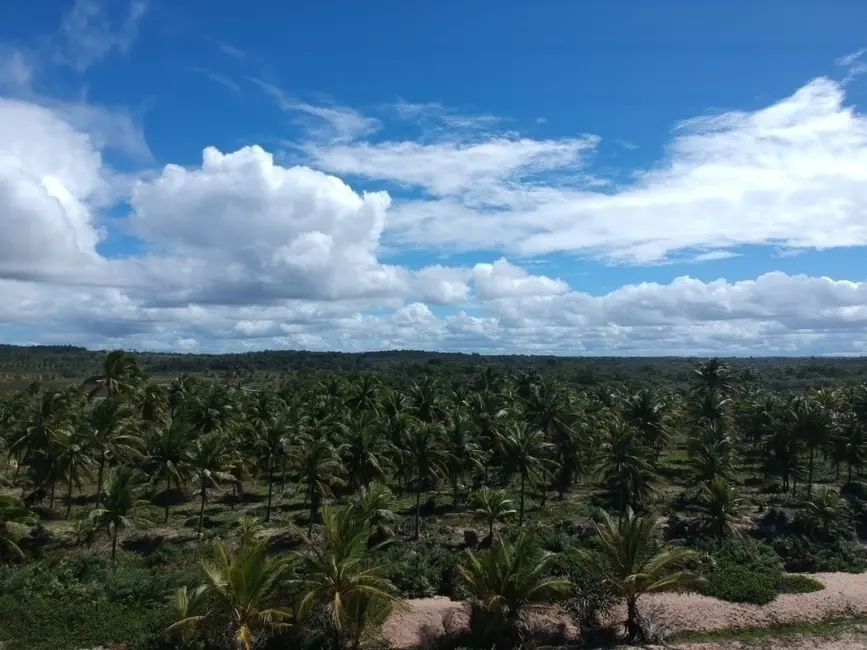 Foto 13 de Terreno / Lote à venda em Marau - BA