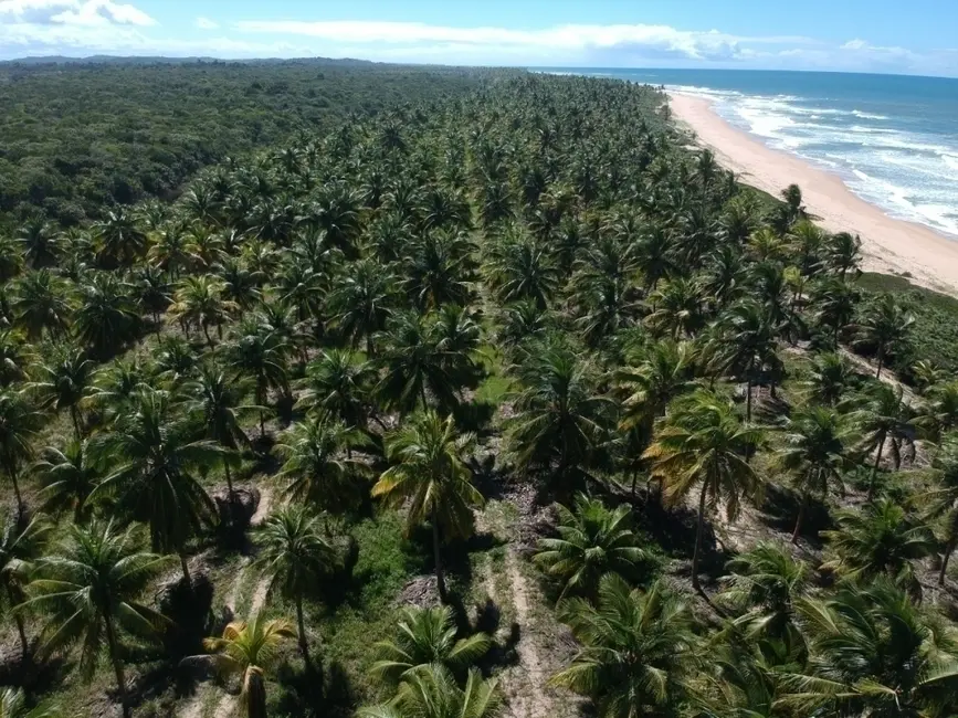 Foto 3 de Terreno / Lote à venda em Marau - BA