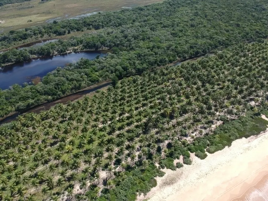 Foto 12 de Terreno / Lote à venda em Marau - BA