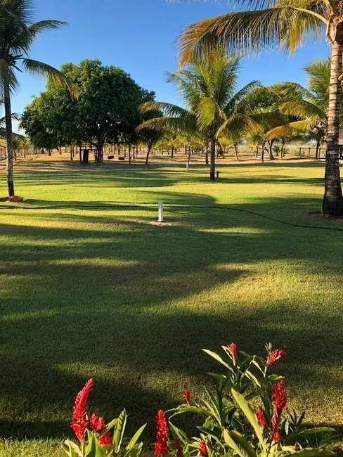 Foto 10 de Casa à venda, 8000m2 em Marau - BA