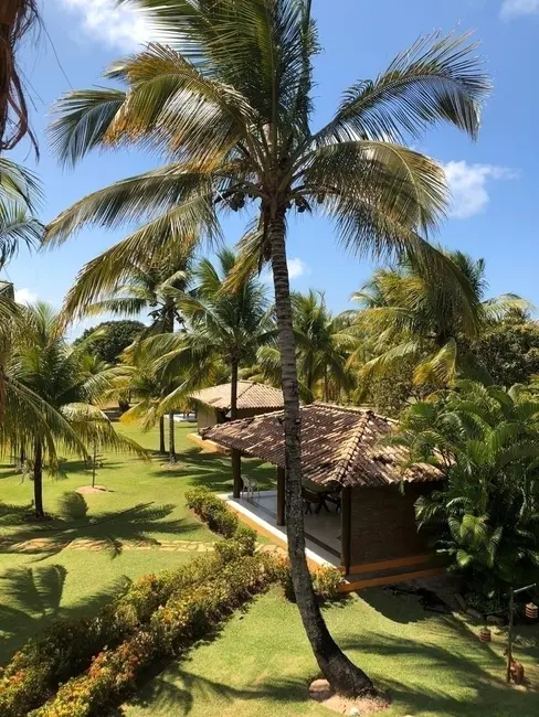 Foto 5 de Casa à venda, 8000m2 em Marau - BA