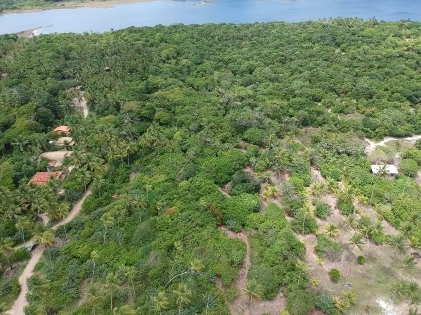 Terreno / Lote à venda, 3250m2 em Marau - BA - imagem 8 Foto 8 de Terreno / Lote à venda, 3250m2 em Marau - BA