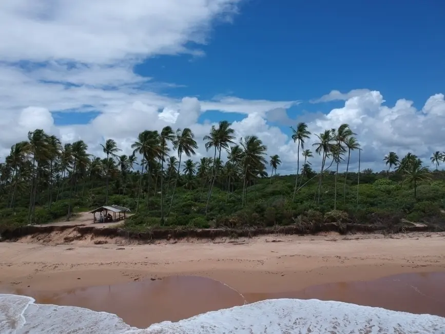Terreno / Lote à venda, 3250m2 em Marau - BA - imagem 5 Foto 5 de Terreno / Lote à venda, 3250m2 em Marau - BA