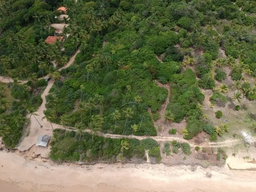 Terreno / Lote à venda, 3250m2 em Marau - BA - imagem 6 Foto 6 de Terreno / Lote à venda, 3250m2 em Marau - BA