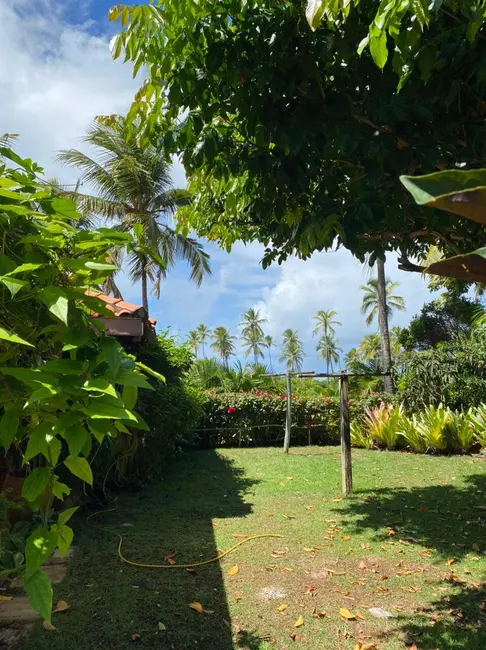 Foto 4 de Casa à venda, 20000m2 em Marau - BA