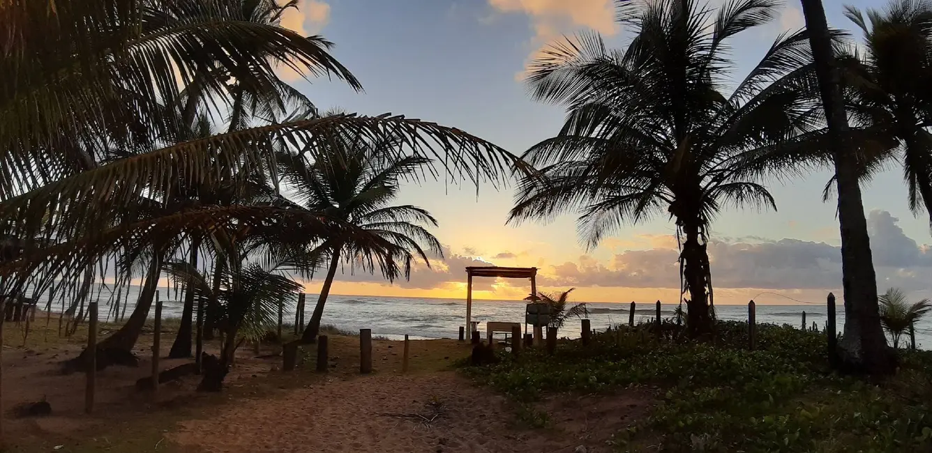 Foto 7 de Casa com 3 quartos à venda, 600m2 em Marau - BA